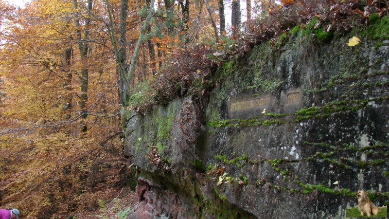 Ritterstein Nr. 225-3 Spurrillen - Damm.JPG - Ritterstein Nr.225 Spurrillen - Damm